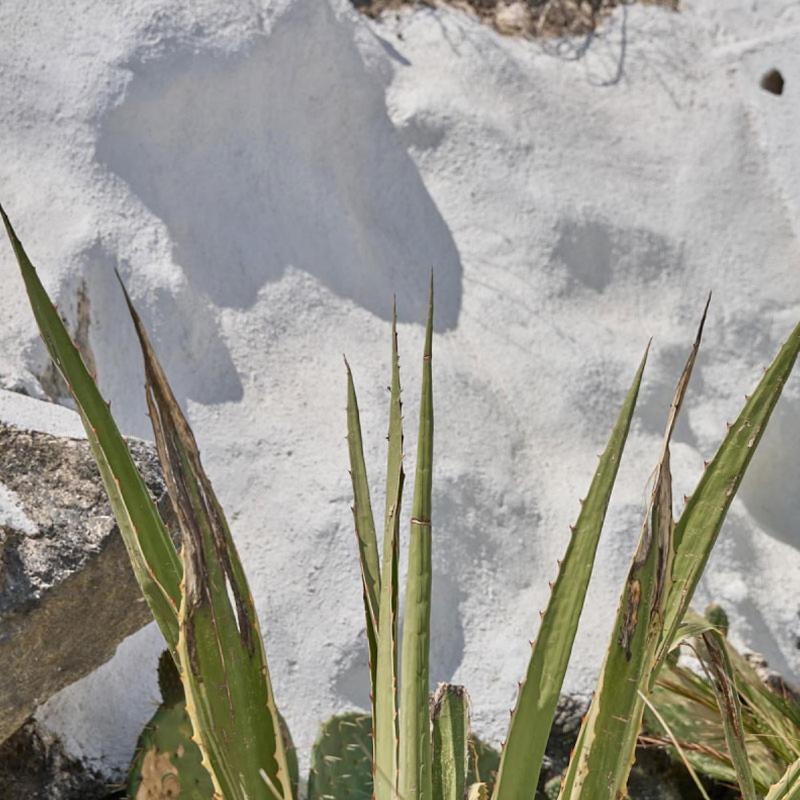 Topos Exclusive Santorini Imerovigli  Exterior photo
